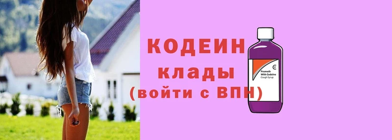 Codein напиток Lean (лин)  купить наркотики цена  Заводоуковск 